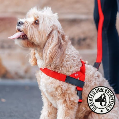 Dog Friendly Co. Dog Harness for Medium Dogs, Adjustable - Image 5