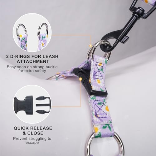 BEAUTYZOO No Pull Dog Harness and Leash Set - Image 3