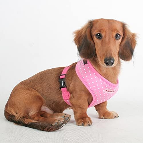 Puppia Dotty Dog Harness Over-The-Head No Pull No Choke Walking Training - Image 3