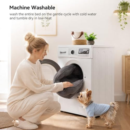 Asvin Medium Dog Bed for Medium Dogs, Cat Beds for Indoor Cats, Pet Bed for - Image 5
