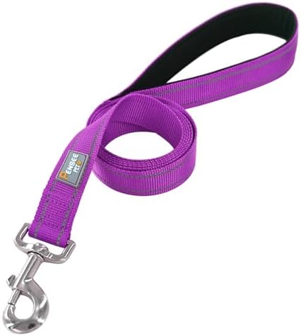 6 FT Basic Dog Leash for Large Dogs, Padded Handle - Image 3