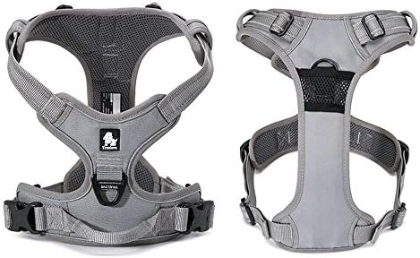 TRUE LOVE Adjustable No-Pull Dog Harness Reflective Pup Vest Harnesses - Image 4