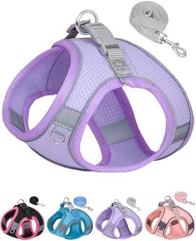 Dog Harness & Leash Set by Aecllcea