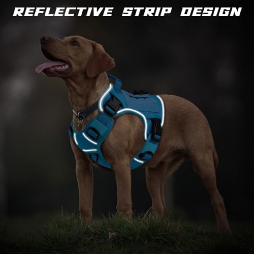 WINGOIN Blue Tactical Dog Harness - Image 4