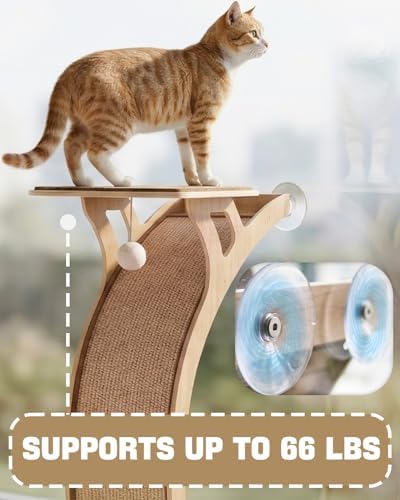 JKXJKX 47" Floor Standing Cat Window Perch - Image 3