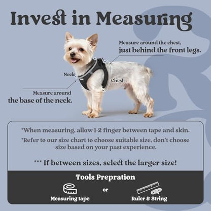 rabbitgoo Step-in Small Dog Harness, Puppy Vest - Image 2