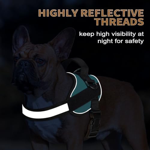 Haapaw Essential Dog Harness, No Pull Pet Vest - Image 4