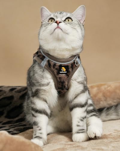 BELLA & PAL Step in Puppy Harness and Leash Set - Image 6
