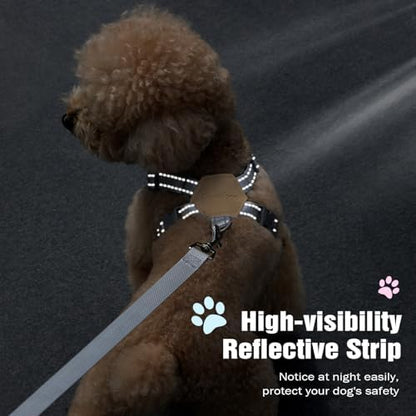 Pawaboo Small Dog Harness and Leash Set, Puppy Harness X-Frame Adjustable - Image 7