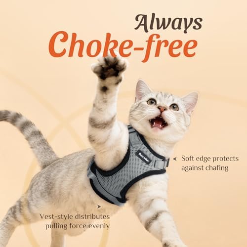 Dooradar Cat Harness and Leash Set, Adjustable and Escape Proof - Image 2