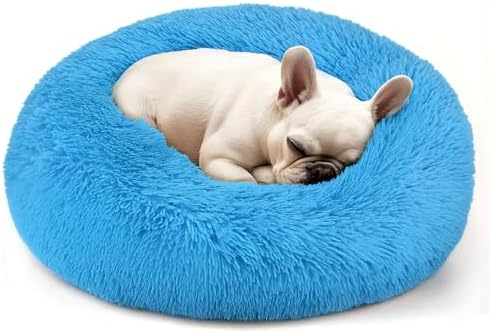 Hoewina Dog & Cat Bed, 20in Cat Beds by Hoewina