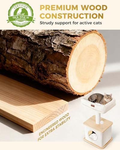 Small Cat Tree for Indoor Kittens - Image 4