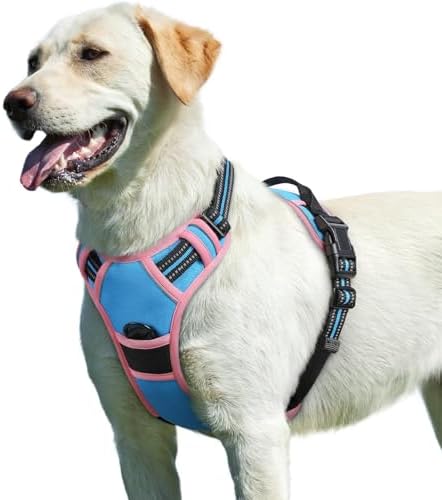 Eagloo Dog Harness for Large Dogs, No Pull Pet Vest by GoExplorewithEagloo