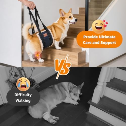 LOOBANI Portable Dog Sling for Medium Dogs Hind Leg Support Weak Rear Legs - Image 2