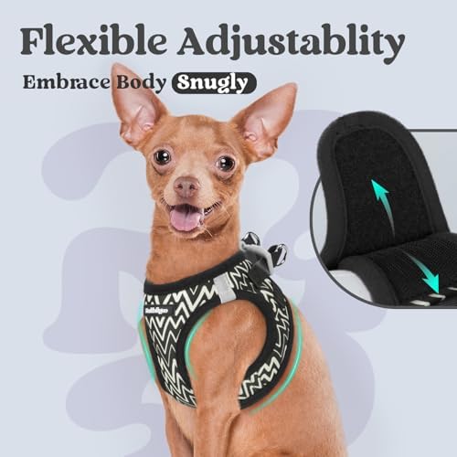 rabbitgoo Step-in Small Dog Harness, Puppy Vest - Image 6