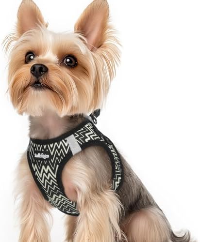 rabbitgoo Step-in Small Dog Harness, Puppy Vest by rabbitgoo