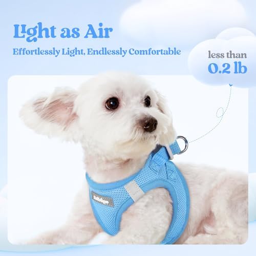 rabbitgoo Dog Harness Medium Sized and Leash Set, Step-in Puppy Pet Vest - Image 4