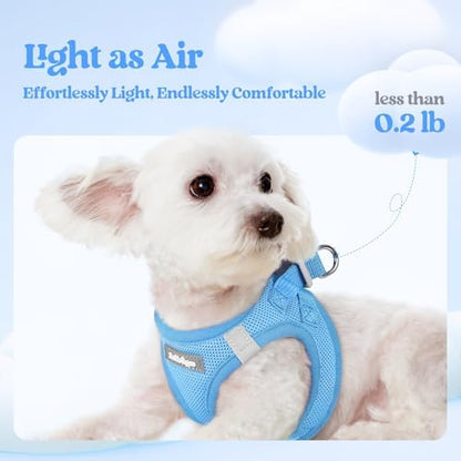 rabbitgoo Dog Harness Medium Sized and Leash Set, Step-in Puppy Pet Vest - Image 4