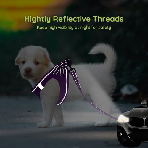 BELLA & PAL Step in Puppy Harness and Leash Set - Image 4