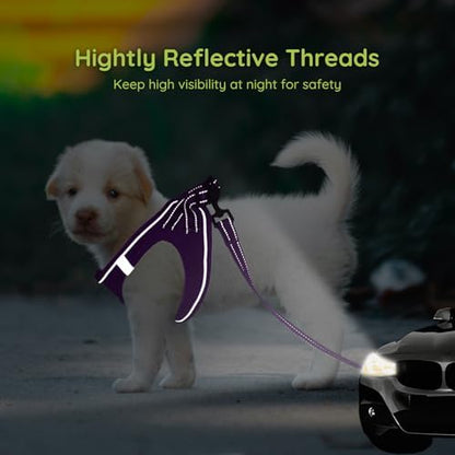 BELLA & PAL Step in Puppy Harness and Leash Set - Image 4