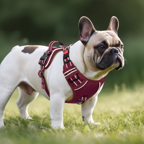 Timos Dog Harness Small Sized, Neck Quick Release - Image 6