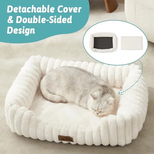 Orthopedic Dog Bed for Small Dogs & Cats - Image 4