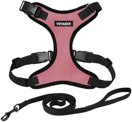 Voyager Step-in Lock Cat Harness & Leash Set by BestPetSuppliesLLC