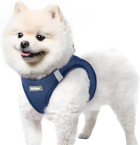 rabbitgoo Step-in Small Dog Harness, Puppy Vest by rabbitgoo