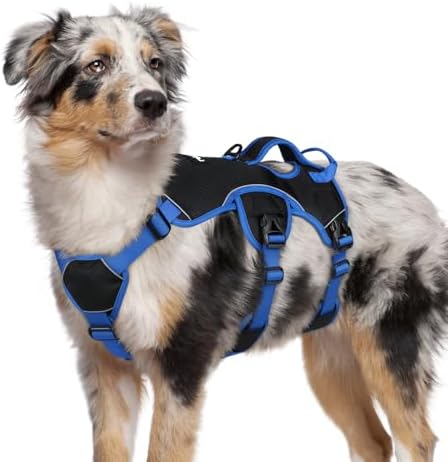 rabbitgoo Escape Proof Dog Harness by rabbitgoo