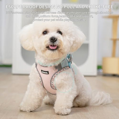 AIITLE Small Dog Harness and Leash Set - Image 6