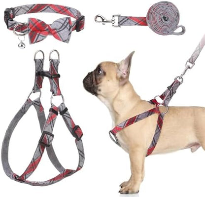 BINGPET No Pull Dog Harness Leash Collar Set, Adjustable Step-in Vest by BINGPET