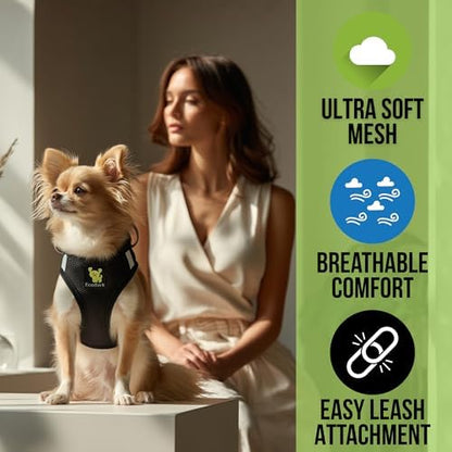 EcoBark Step in Dog Harness, Tiny Soft Mesh Teacup Dog Harness - Image 2