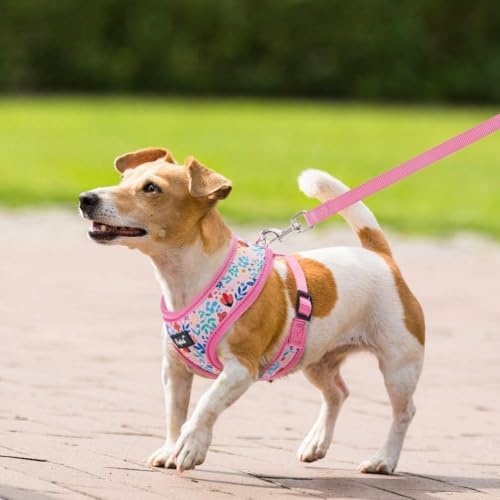 PUPTECK Small Dog Harness and Leash Set No Pull - Image 6
