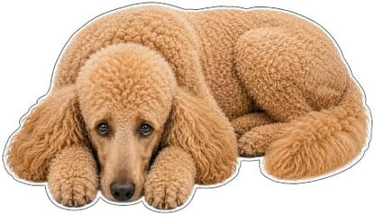 3D Realistic Dog Shaped Bath Mat & Floor Rug by MOFABIA
