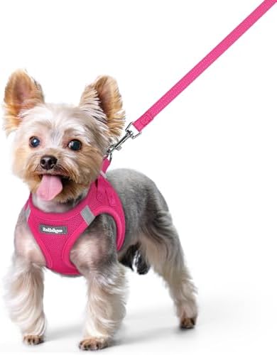 rabbitgoo Dog Harness Small Sized and Leash Set, Step-in Puppy Pet Vest by rabbitgoo