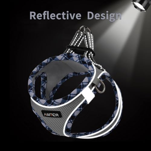 AMTOR Small Dog Harness with Leash Set, No Escape Easy Walk Puppy Harnesses - Image 4