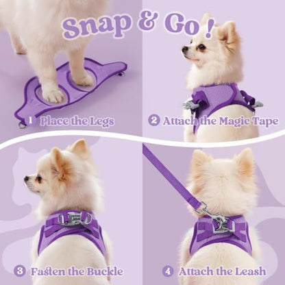 rabbitgoo Dog Harness Small Sized and Leash Set, Step in Soft Vest - Image 2