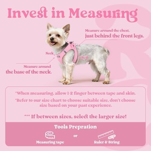 rabbitgoo Step-in Small Dog Harness, Puppy Vest - Image 2