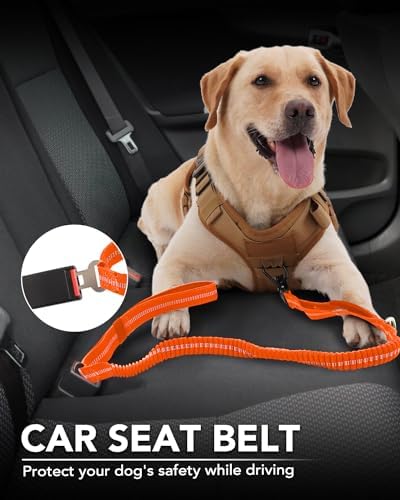 Joytale Tactical Bungee Dog Leash, Shock Absorbing No Pull - Image 5
