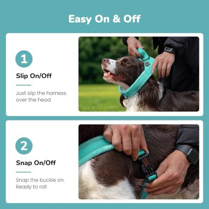 Didog No Pull Dog Harness for Small Dogs, Soft Flannel Padded - Image 3