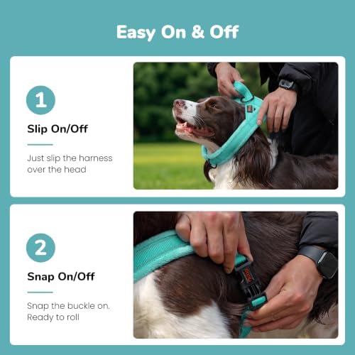 Didog No Pull Dog Harness for Small Dogs, Soft Flannel Padded - Image 3