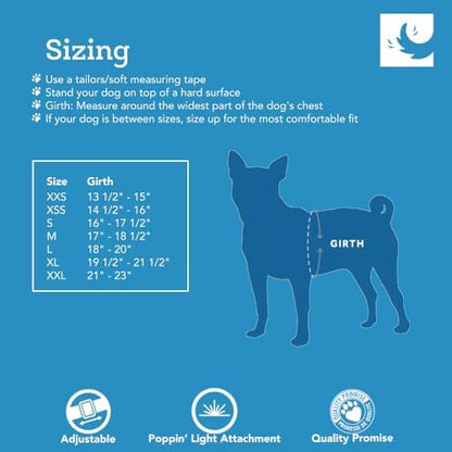 RC Pet Products Cirque Soft Walking Step-in Dog Harness, Pineapple Parade - Image 3