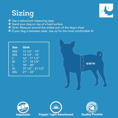 RC Pet Products Step in Cirque Soft Walking Dog Harness - Image 3