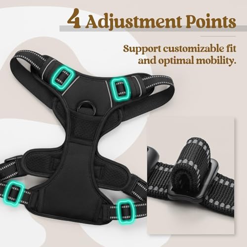rabbitgoo Dog Harness, No Pull for Small Dogs - Image 4
