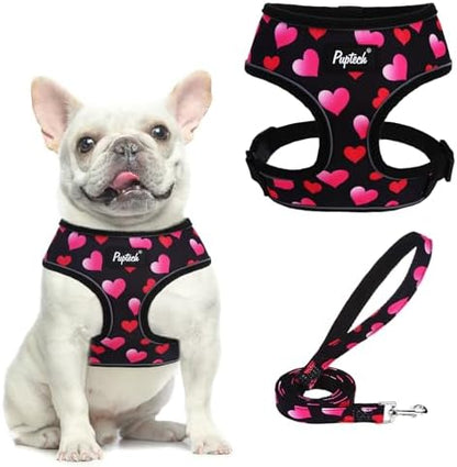 PUPTECK Small Dog Harness and Leash Set No Pull by PUPTECK