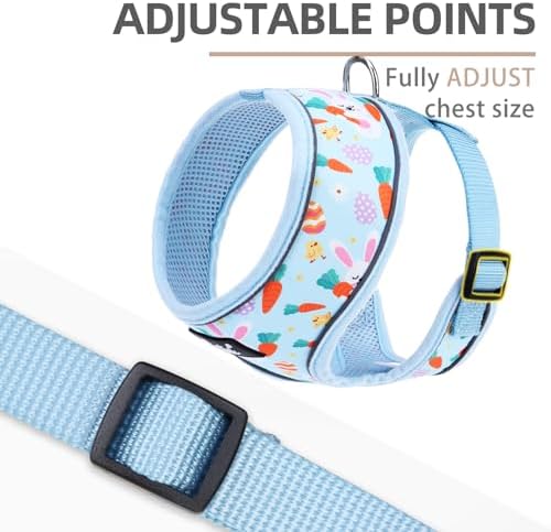 PUPTECK Small Dog Harness and Leash Set No Pull - Image 3