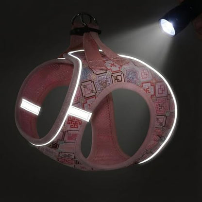 Mihqy Step in Dog Harness and Leash Set, Soft Breathable Mesh - Image 4