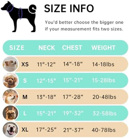 IVY&LANE No Pull Dog Harness for Medium Dogs, Reflective Dog Vest Harness - Image 2