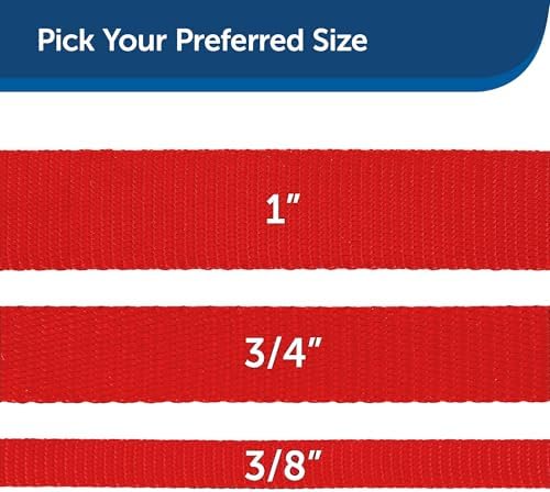 PetSafe Nylon Dog Leash - Image 5