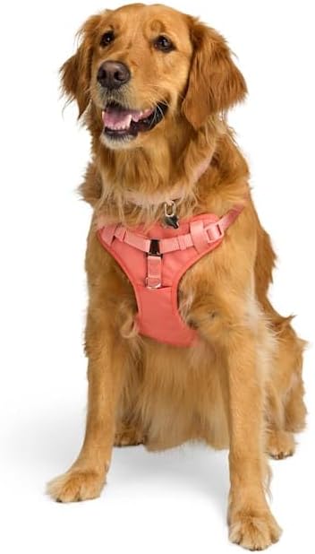 EveryYay by Petco Step in Dog Harness Pink Small by Petco